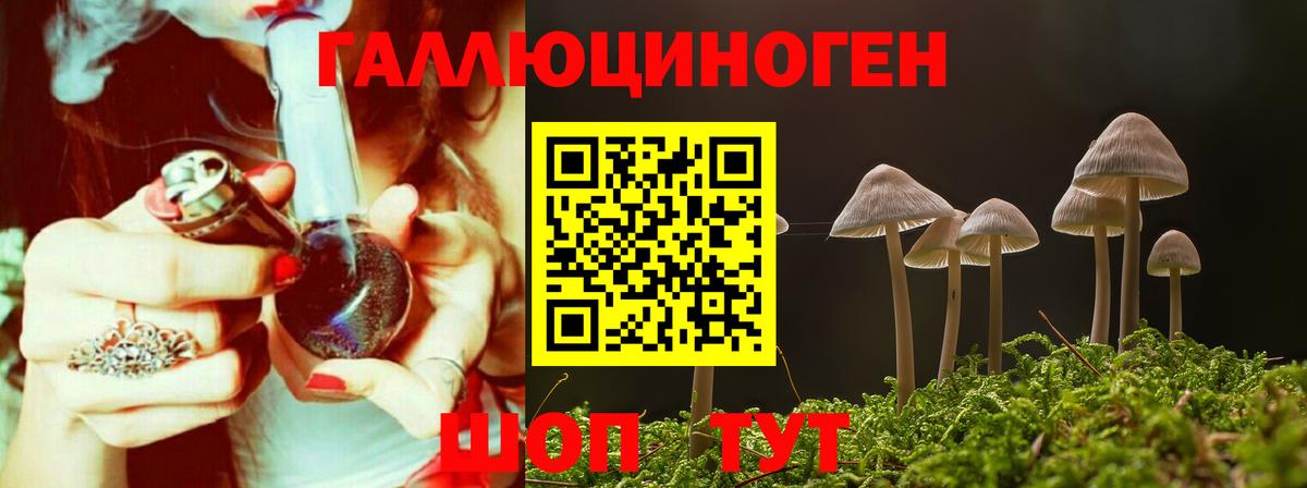 Кудрово  магазин продажи наркотиков  Вход с VPN  Псилоцибиновые грибы мухоморы 